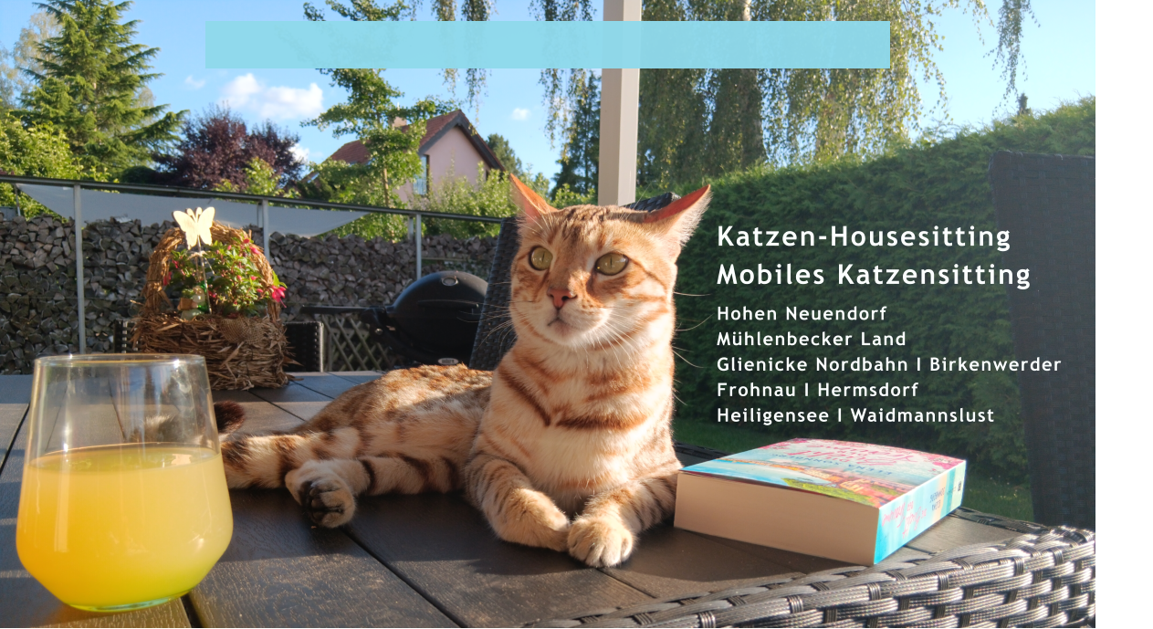 Katzen Sitting I Hohen Neuendorf